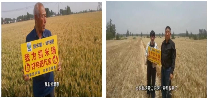 微信截图_20250604091820.png
