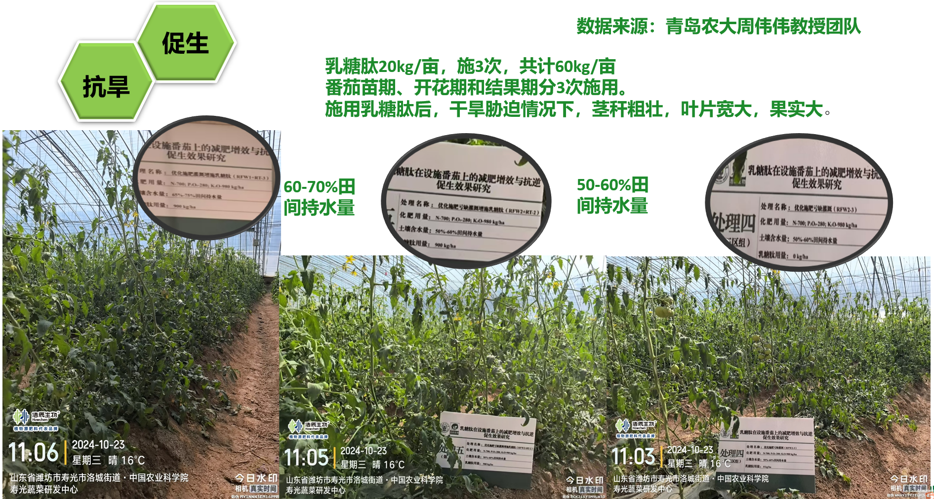 图片17.png