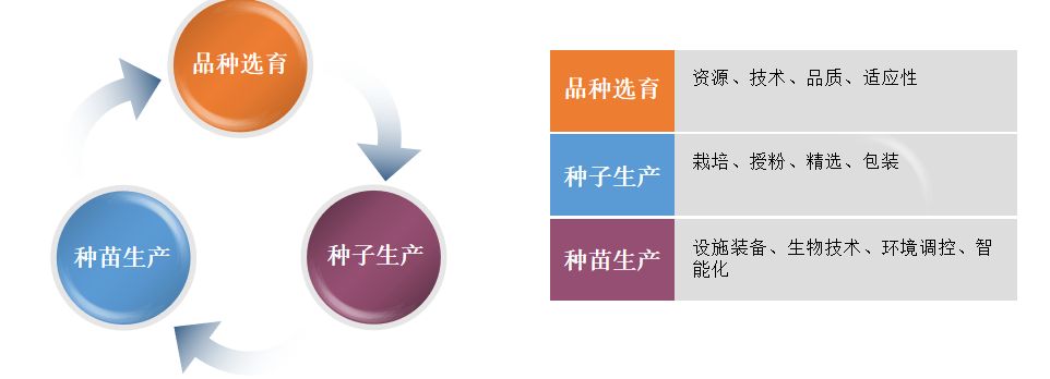图片28.png