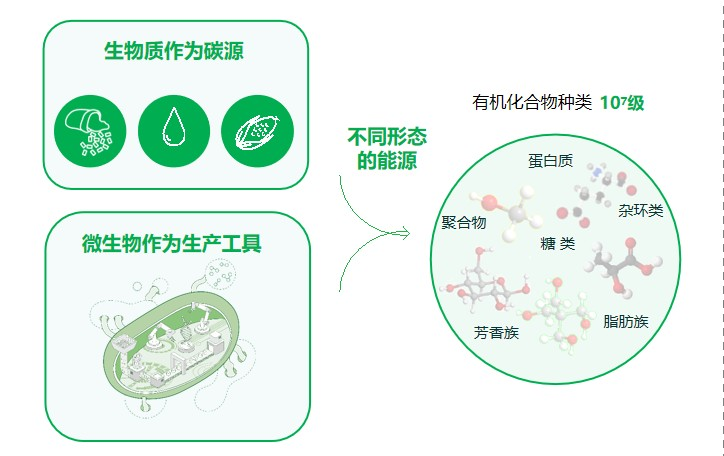 图片32.png