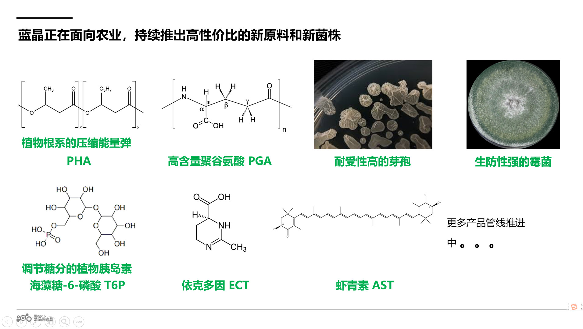 图片34.png