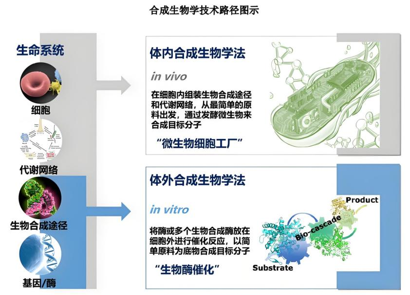 图片47.png