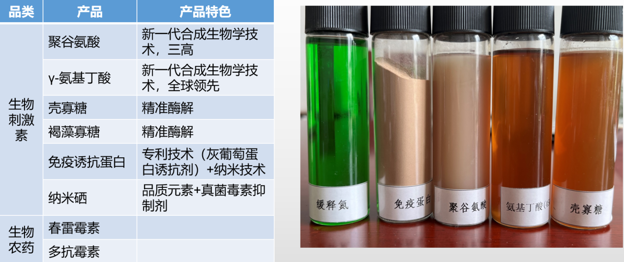 图片49.png