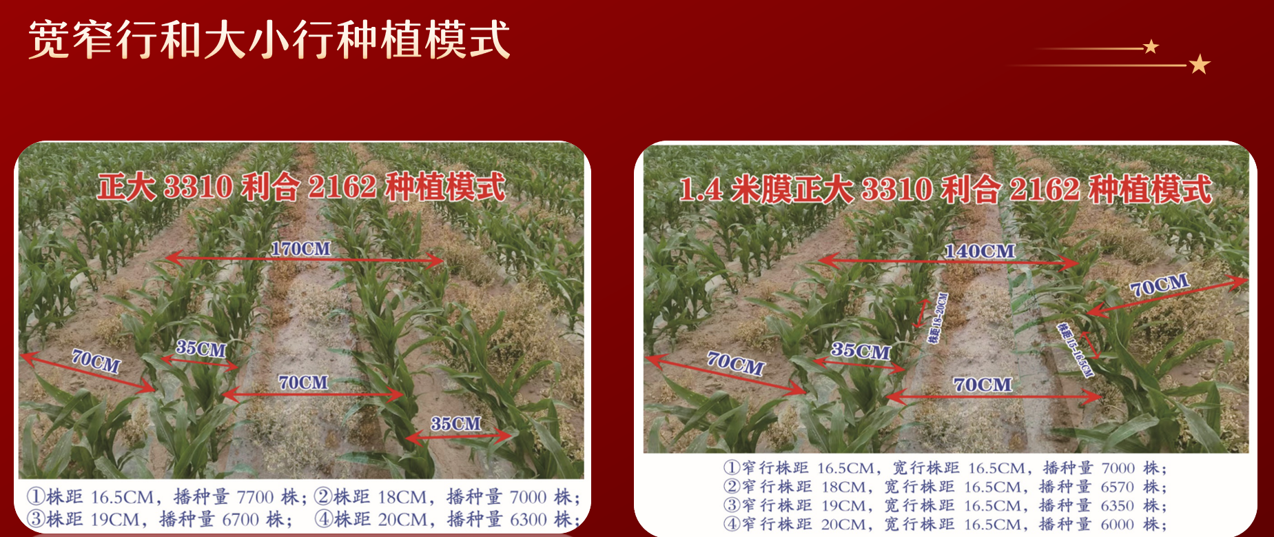 图片67.png