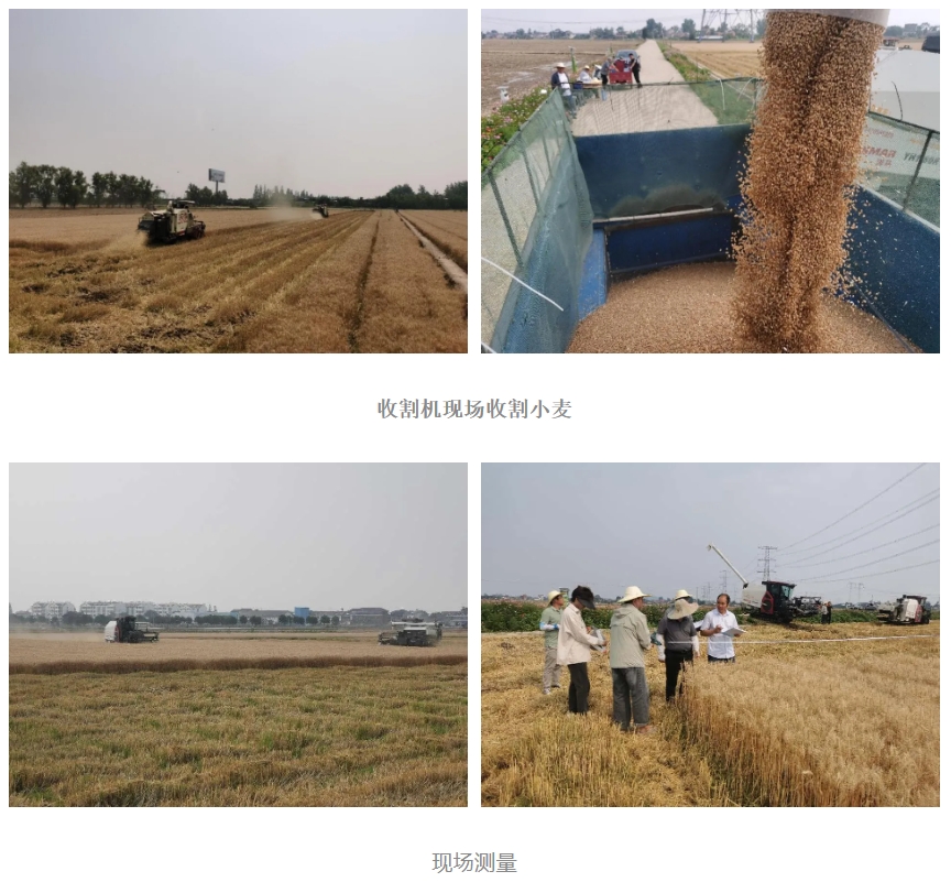 微信截图_20250616093710.png