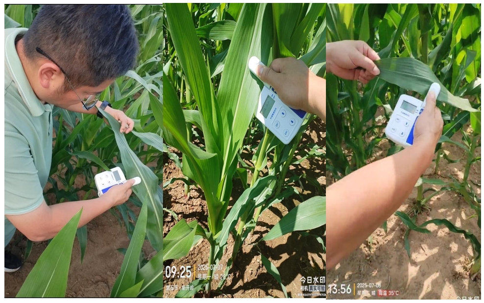 微信截图_20250715155250.png