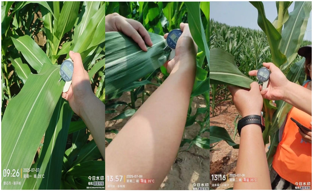 微信截图_20250715155301.png