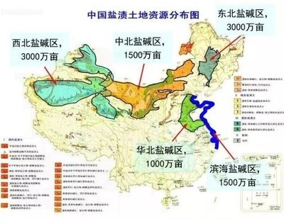图片 2.jpg