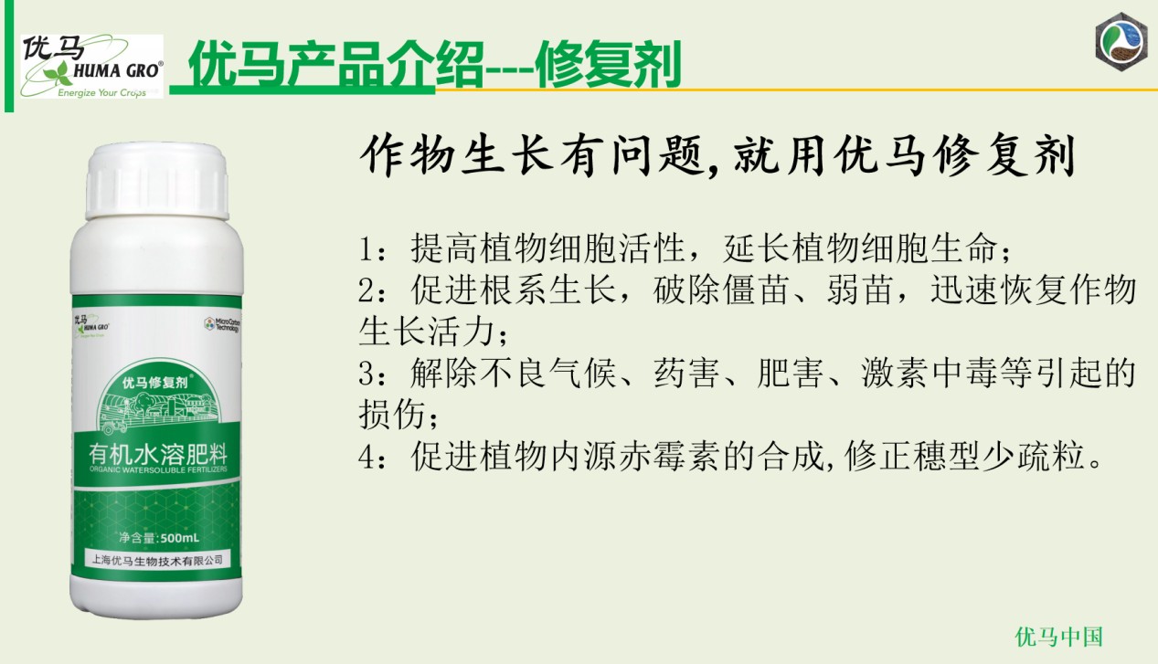 图片 2.jpg