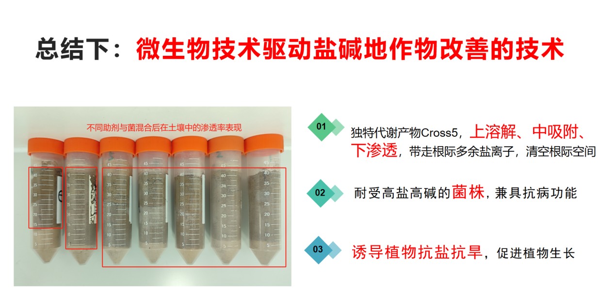 图片 3.jpg