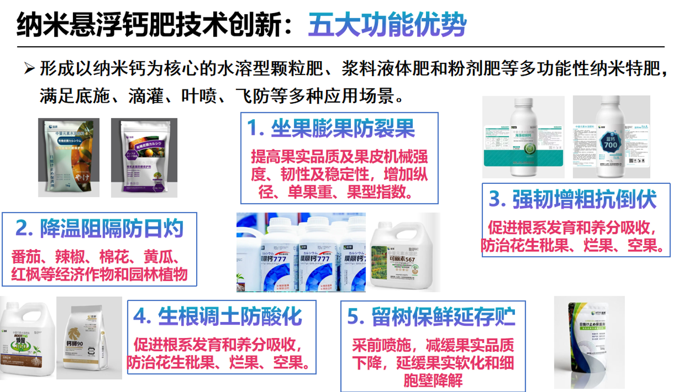图片12.png