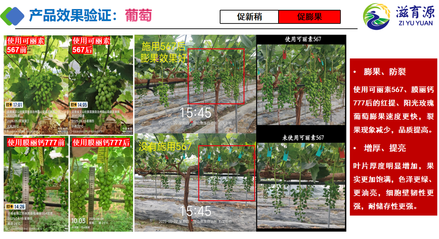图片15.png