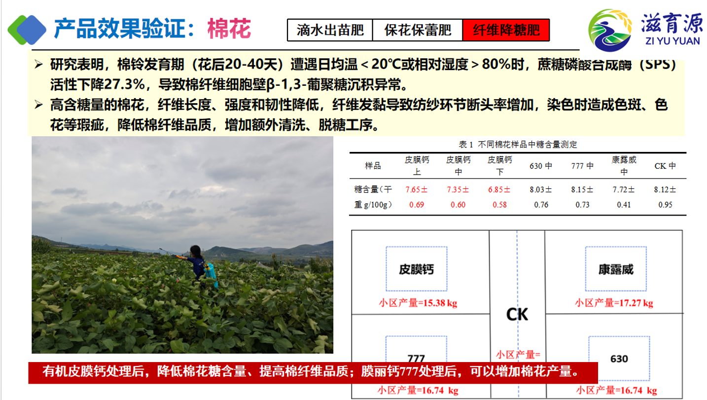 图片16.png