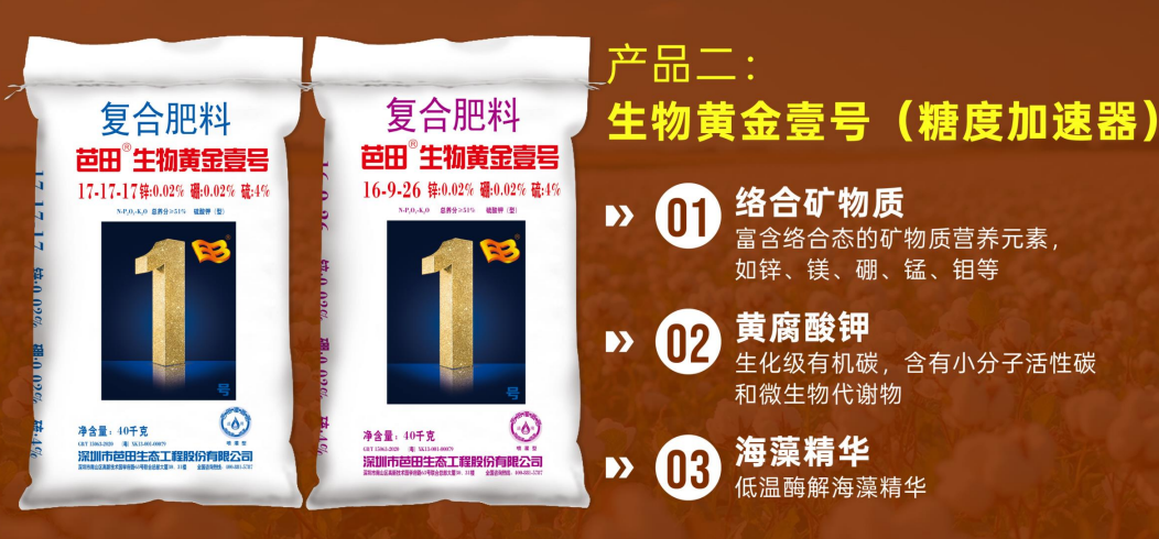 图片19.png