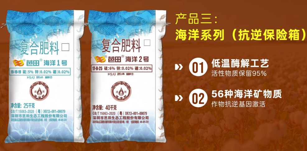 图片20.png