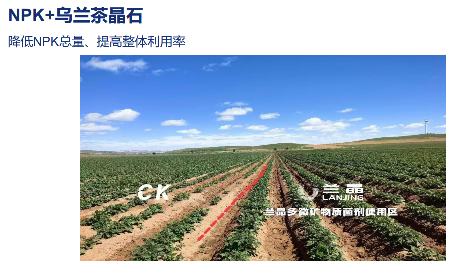 图片26.png