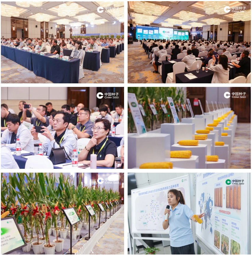 wechat_2025-08-11_095732_804.png