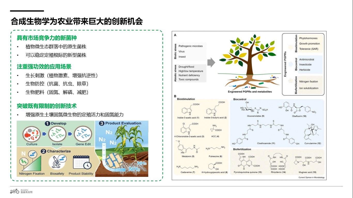 图片 2.jpg