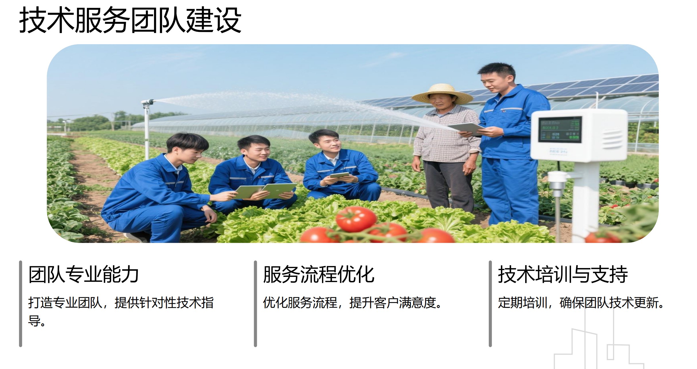 图片 4.jpg
