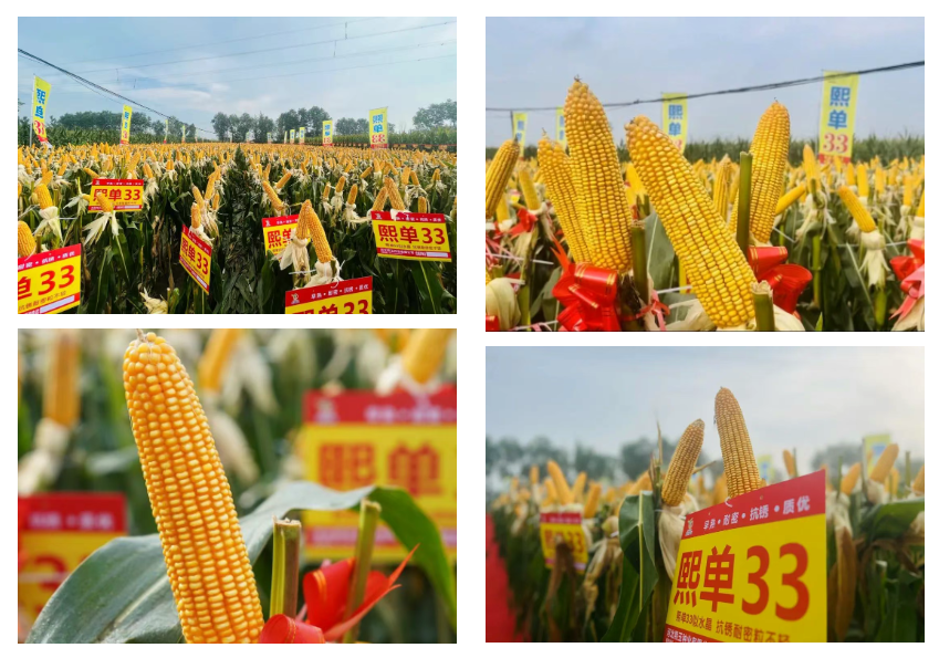wechat_2025-08-26_141844_132.png