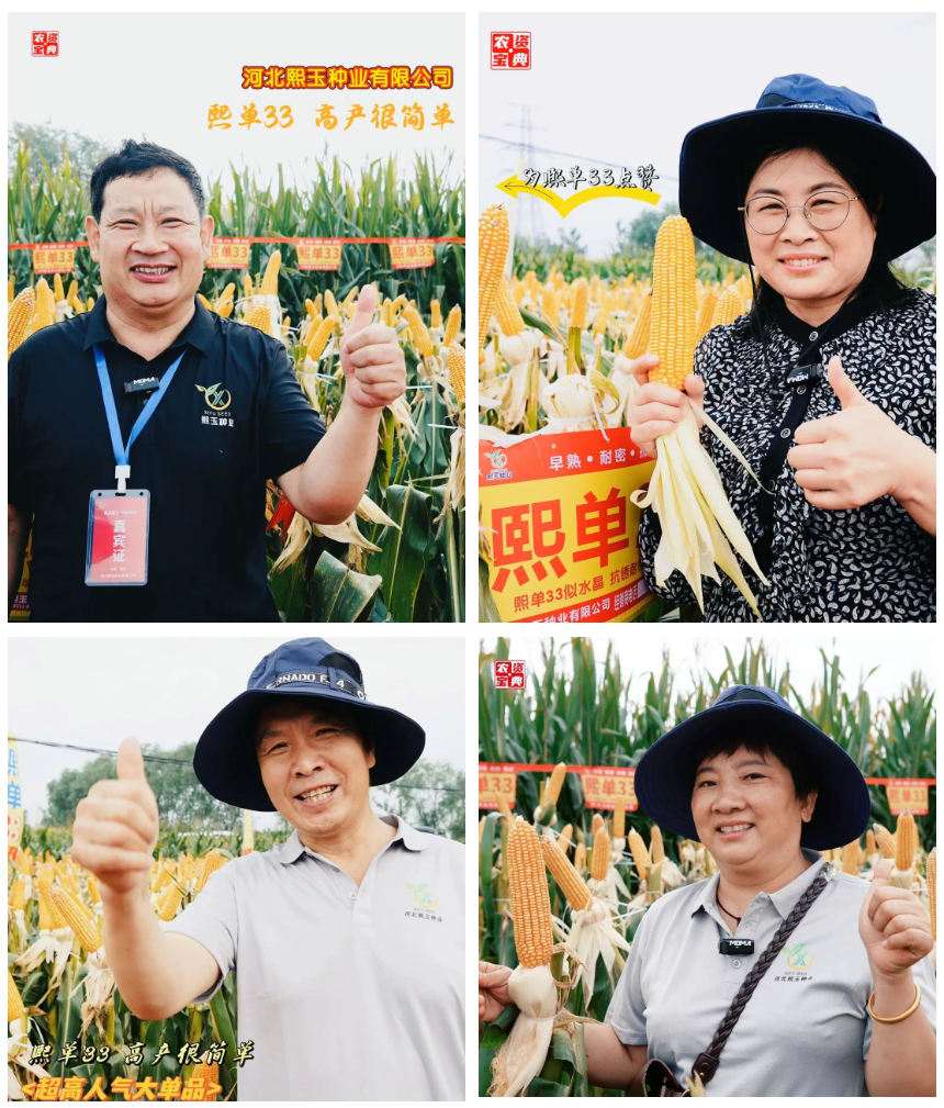 wechat_2025-08-26_141920_983.png