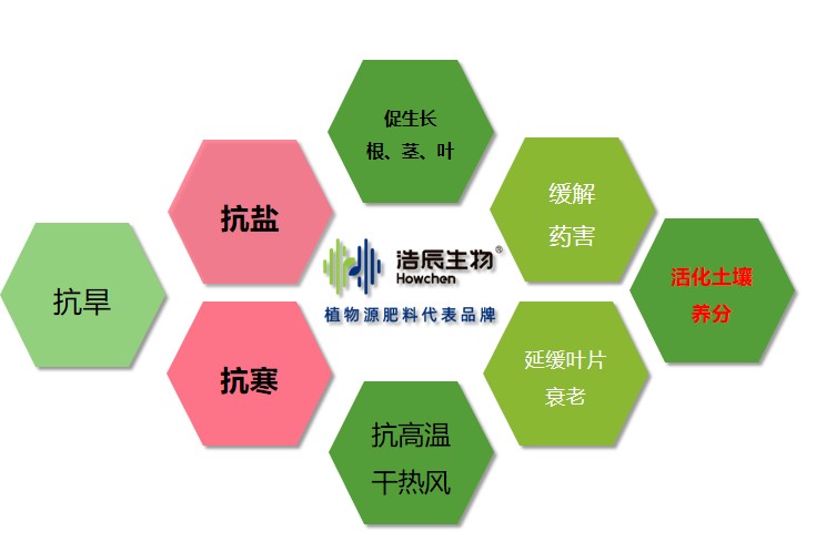 图片 4.jpg