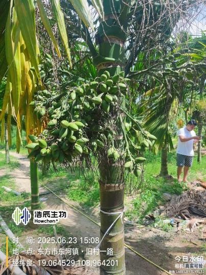 图片 5.jpg