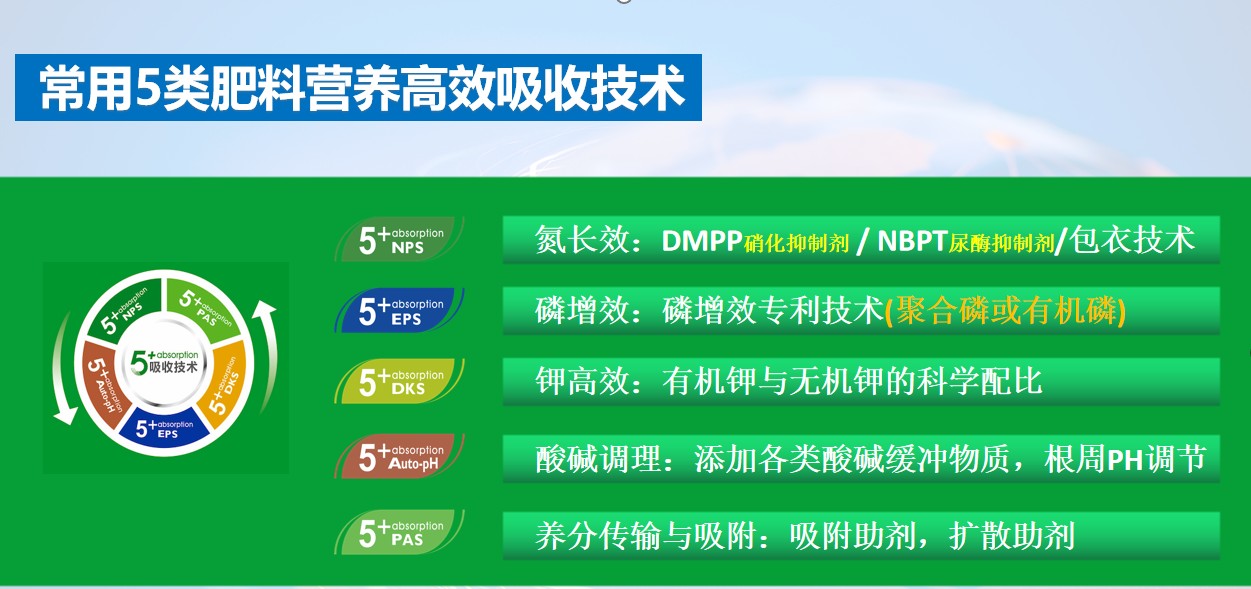 图片 2.jpg