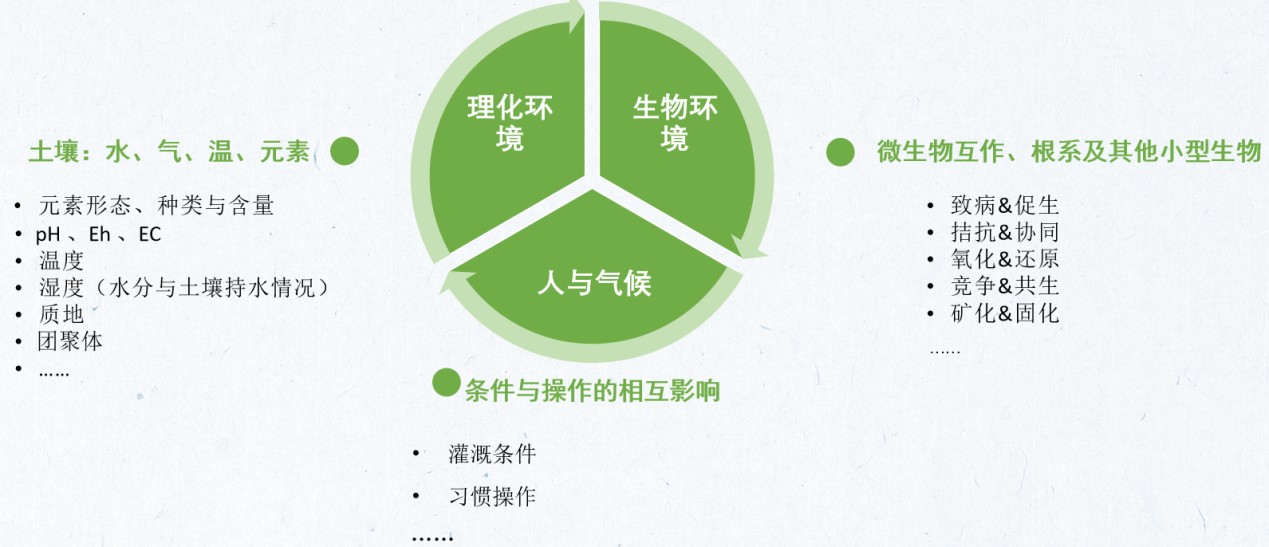 图片 2.jpg