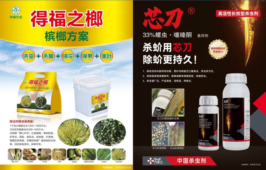 图片 10.jpg