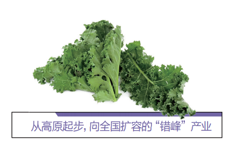 微信图片_20250918092618_33_61.png