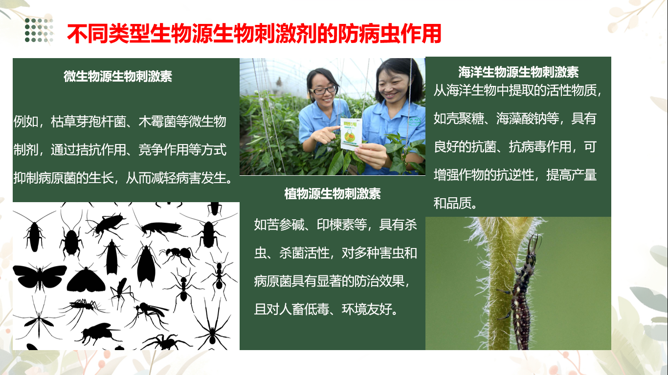 图片19.png