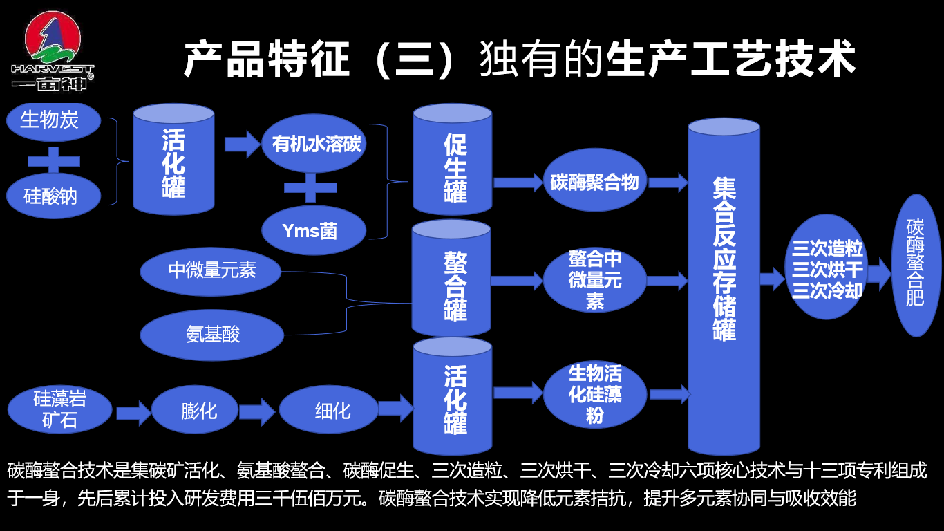 图片31.png