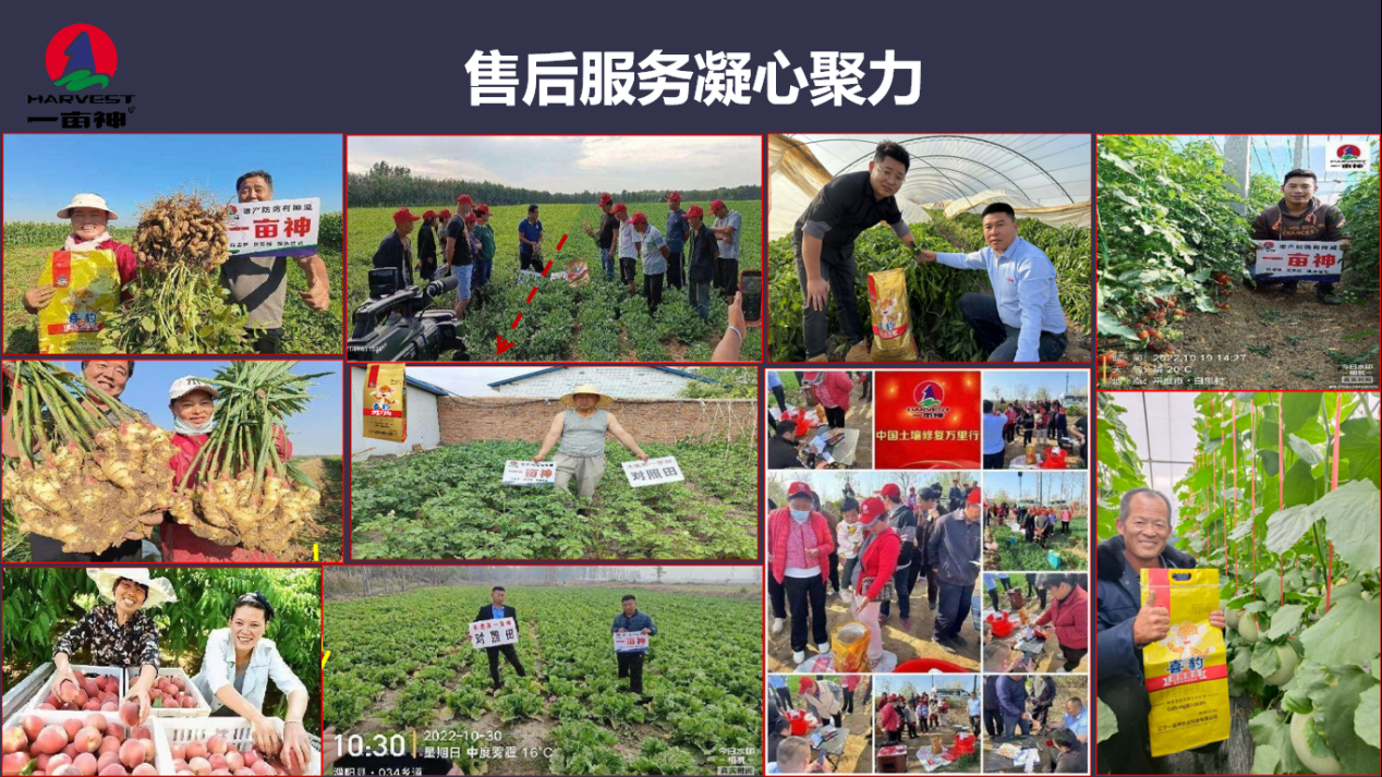 图片34.png