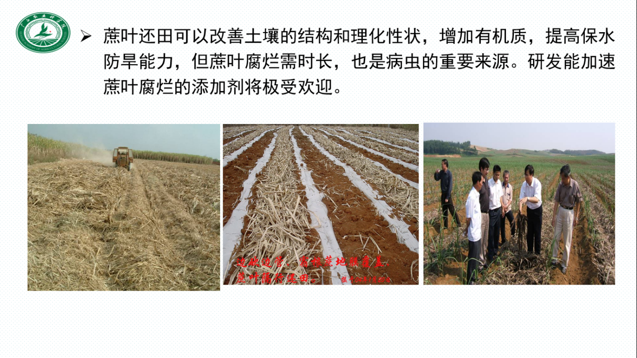 图片44.png