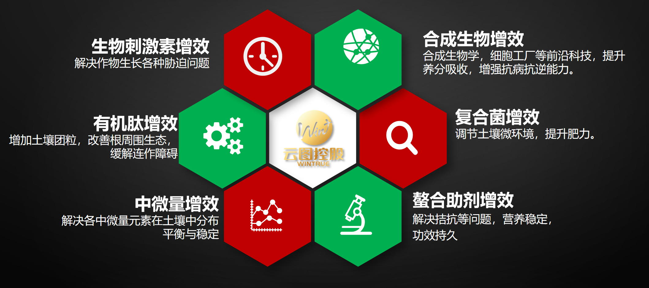 图片46.png
