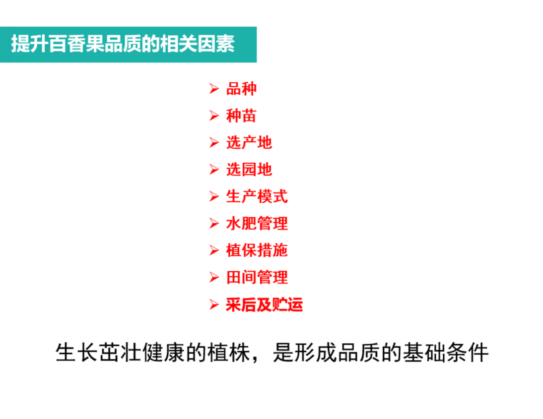 图片52.png