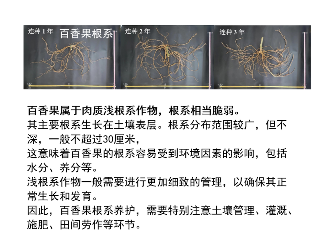 图片53.png