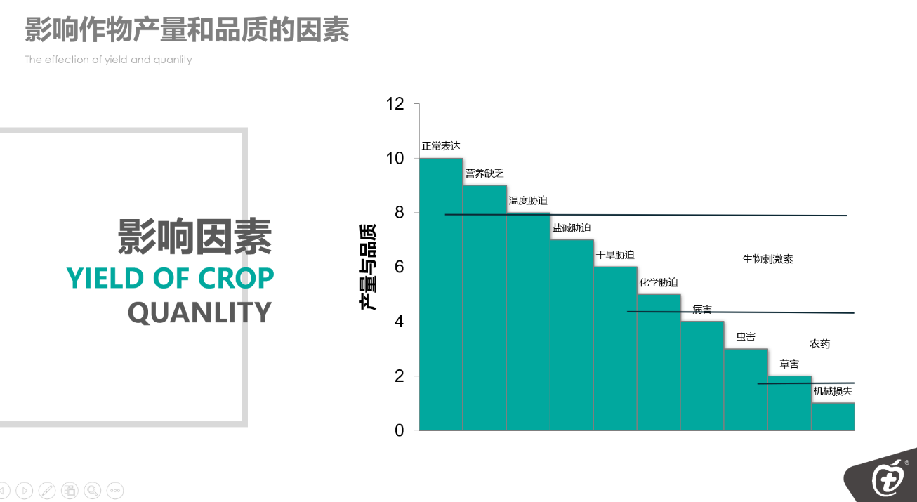 图片60.png