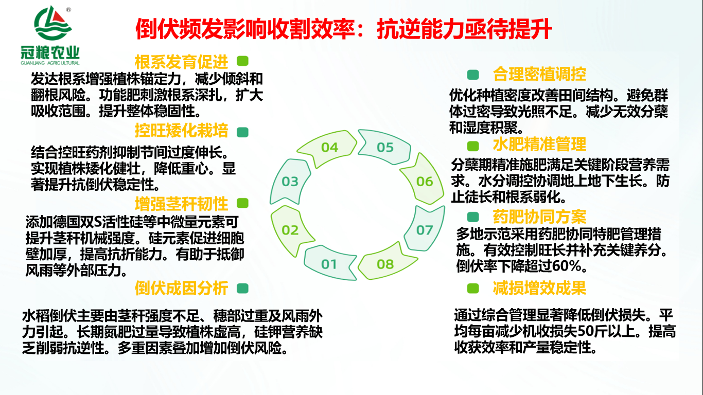 图片80.png