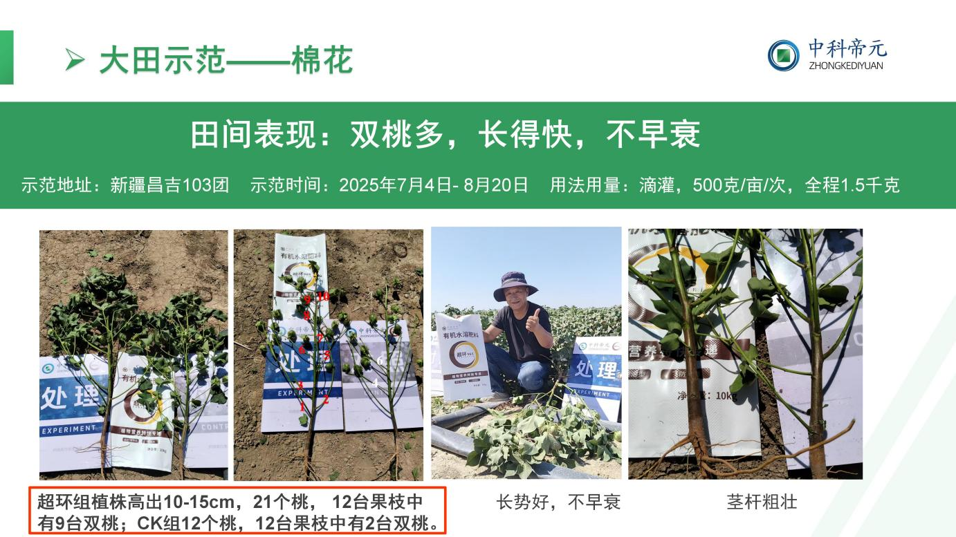 图片11.png