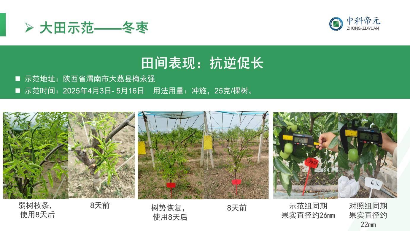 图片12.png