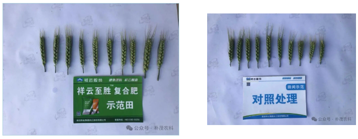 wechat_2025-10-15_110041_045.png