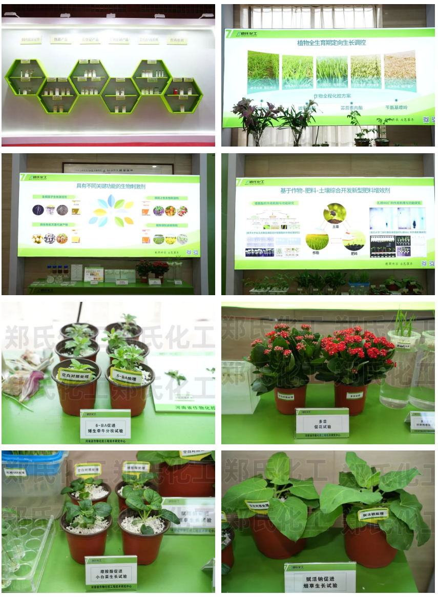 wechat_2025-10-21_152038_852.png