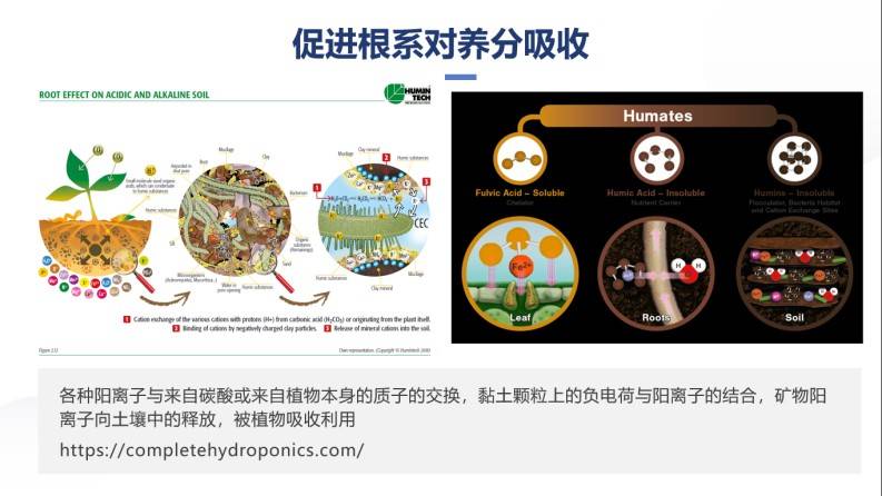 图片 10.jpg