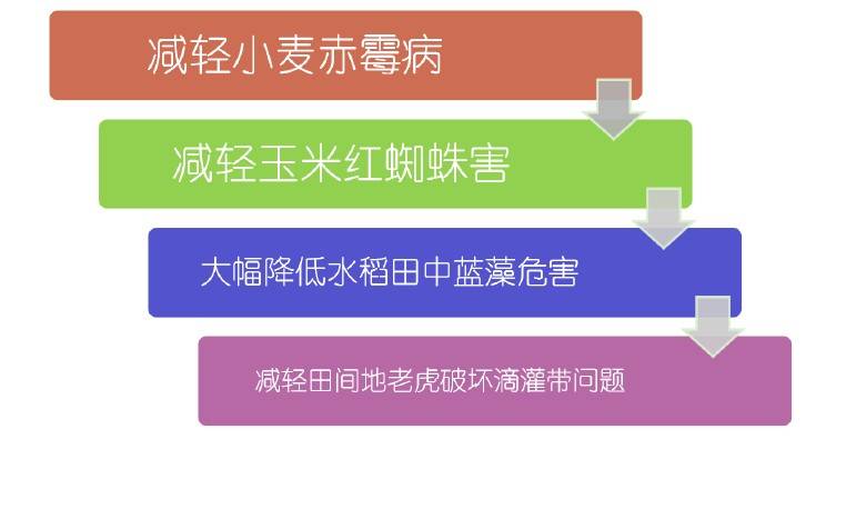图片 5(2).jpg