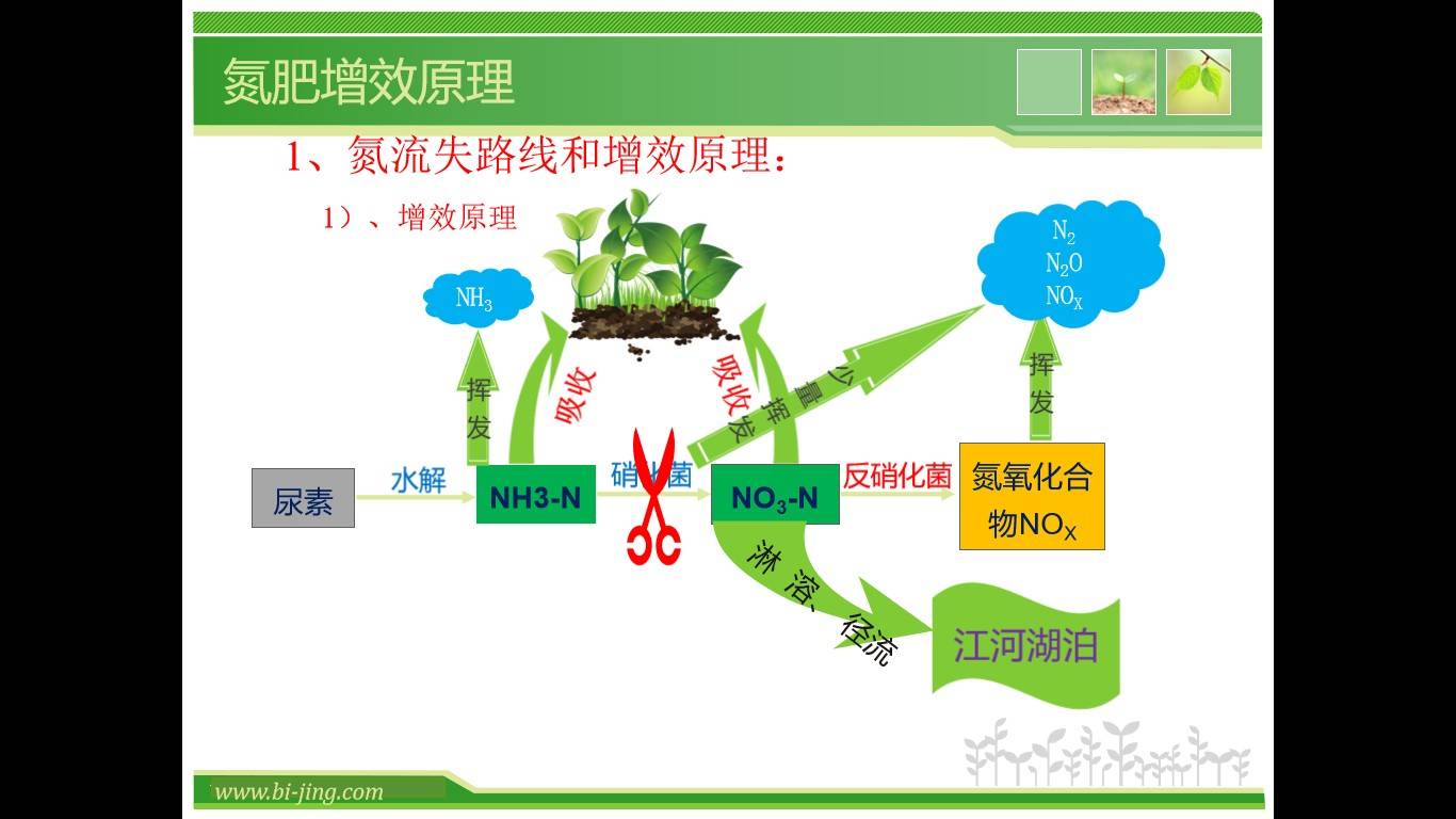 图片 7(2).jpg