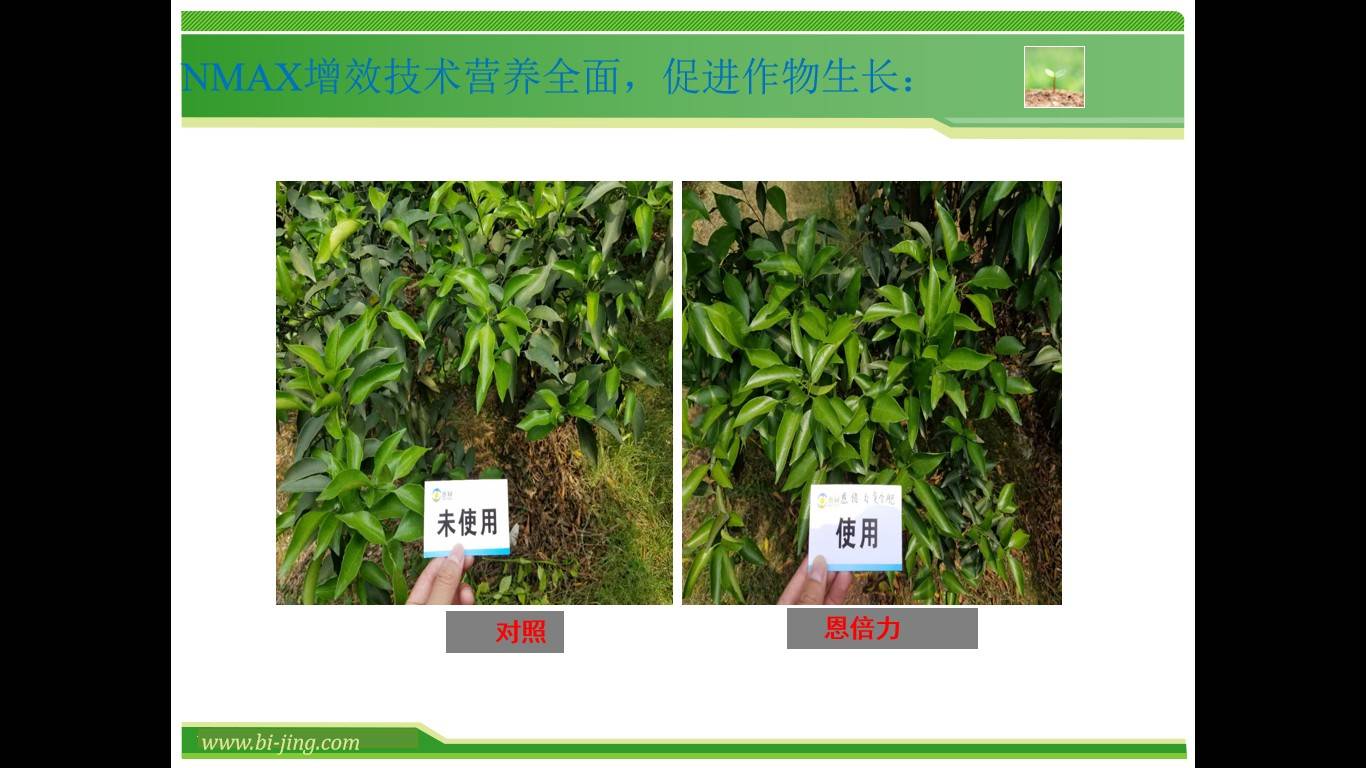 图片 8(2).jpg