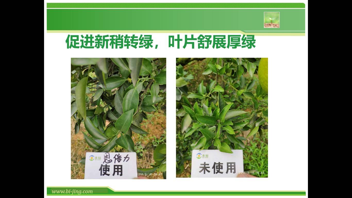图片 9(2).jpg