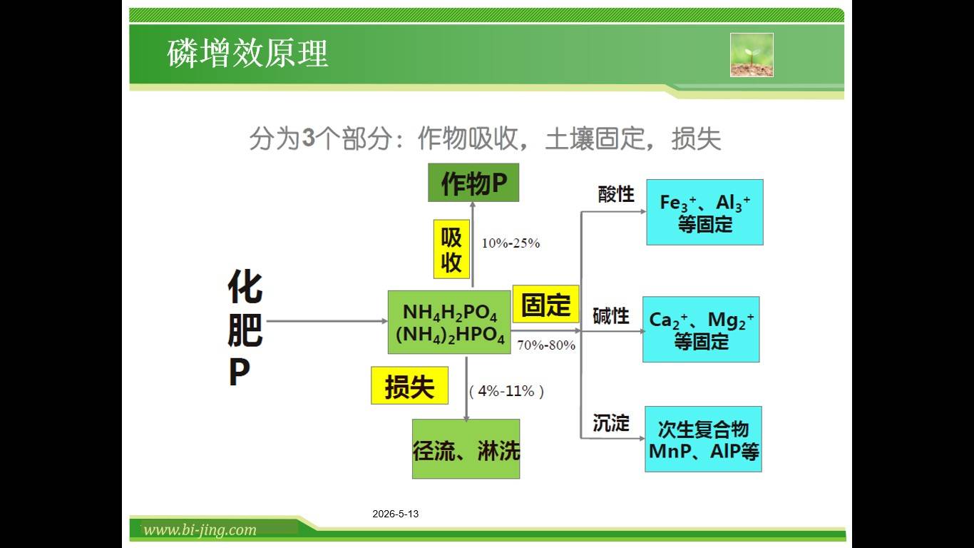 图片 10(2).jpg
